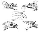 Dragon sketches 2